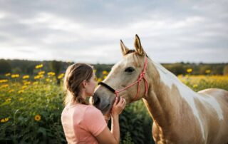 teeth-grinding-in-horses