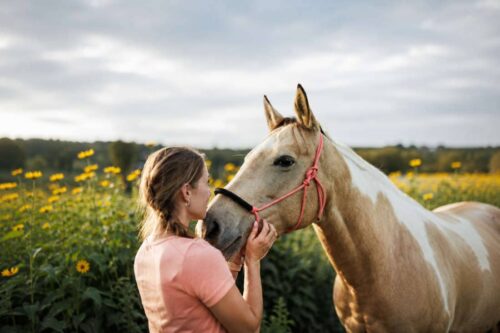 teeth-grinding-in-horses