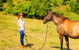 training-horse-to-ground-tie