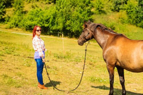 training-horse-to-ground-tie