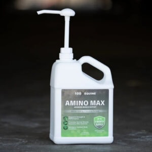Amino-Max (100 X Equine)