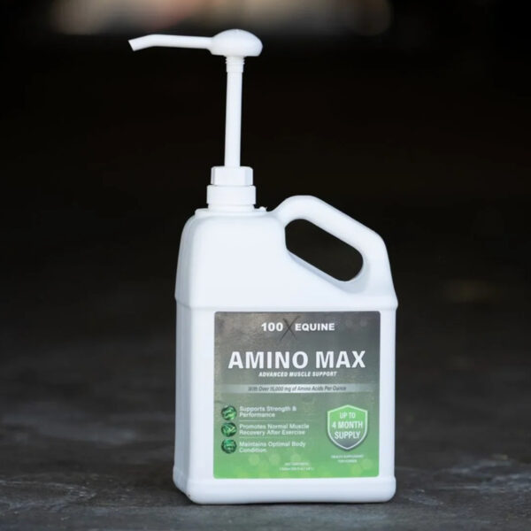 Amino-Max (100 X Equine)