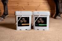 What are the Best Supplements for Senior Horses?