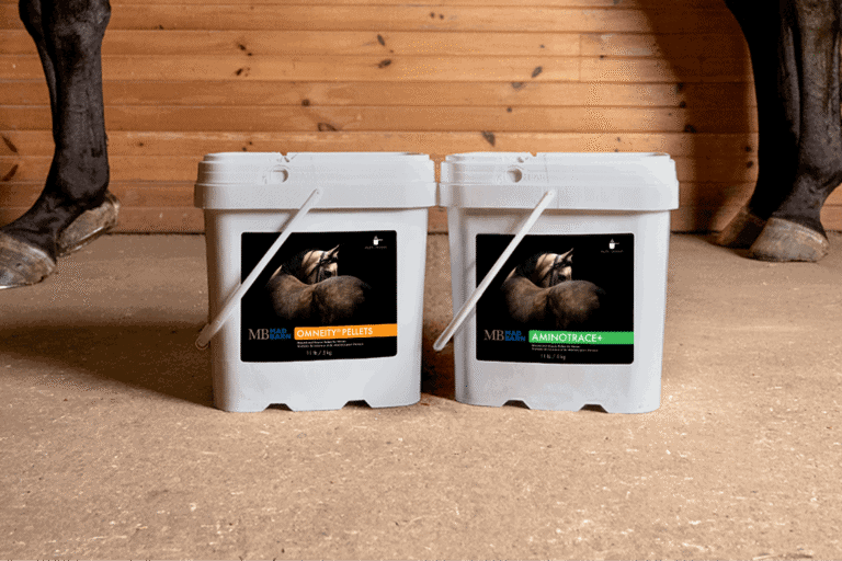 best-supplements-for-senior-horses