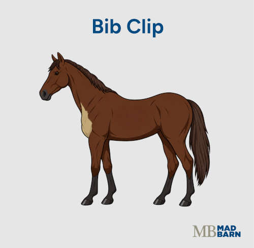 bib clip on a horse