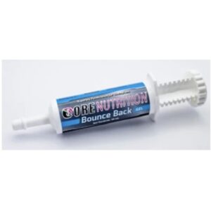 Bounce Back Gel (Core Nutrition)