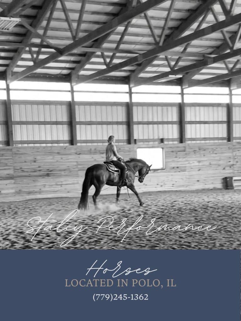 Staley Performance Horses