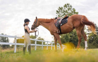 carbon-dioxide-wound-therapy-for-horses