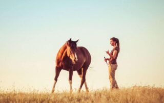 causes-of-lameness-in-horses