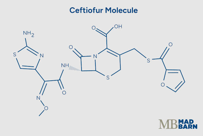 illustration of ceftiofur molecule