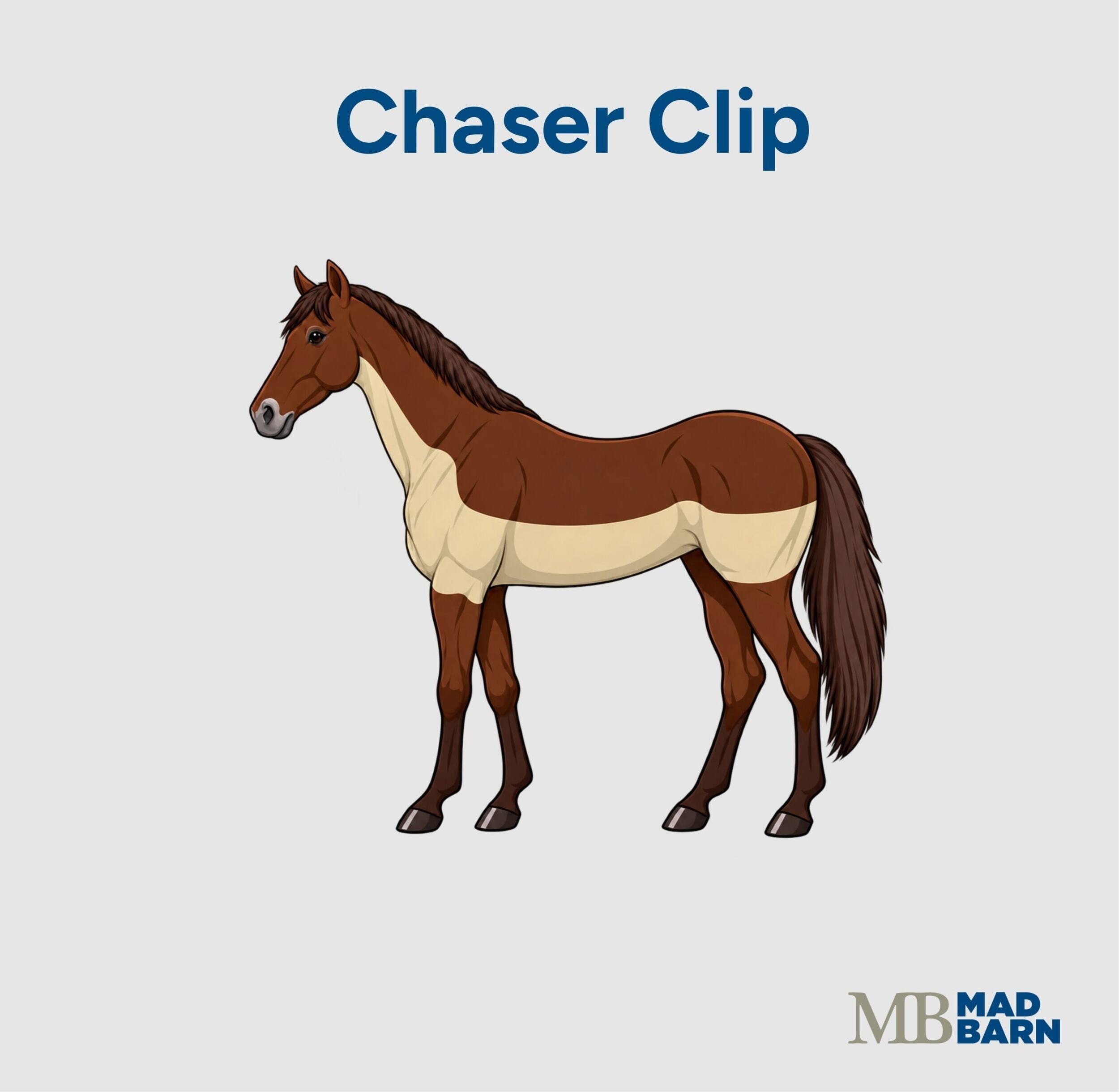 chaser clip on a horse