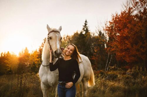 chronic-inflammation-in-horses