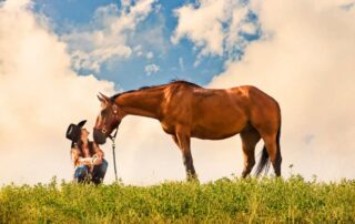 clostridial-myositis-in-horses