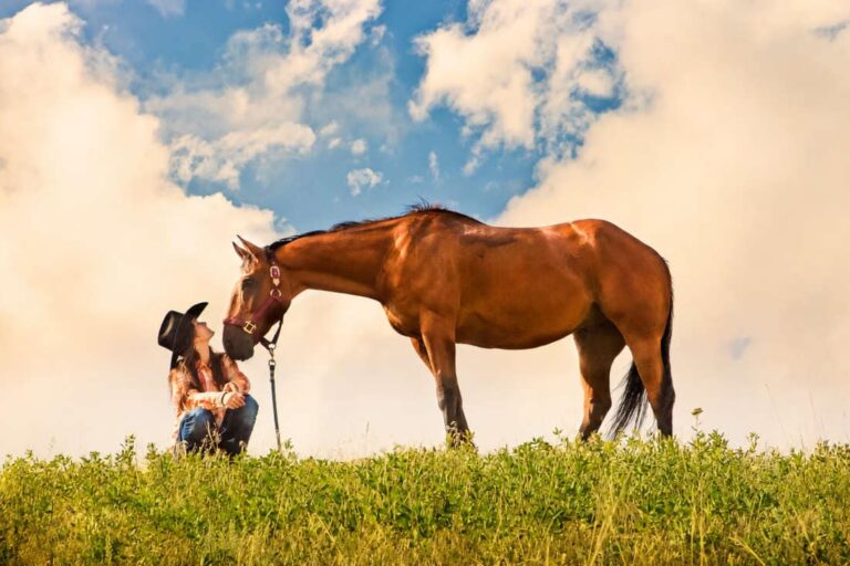 clostridial-myositis-in-horses