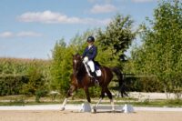 Guide to Equestrian Dressage Levels: Understanding Competitive Progression