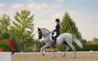 complete-guide-to-dressage-movements