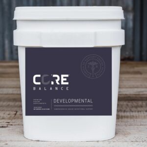 Core Developmental (Core Balance)