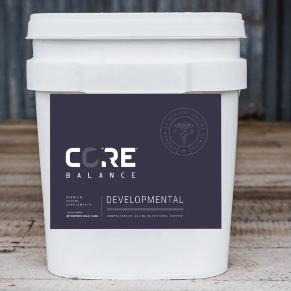 Core Developmental (Core Balance)