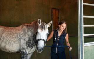 doxycycline-for-horses