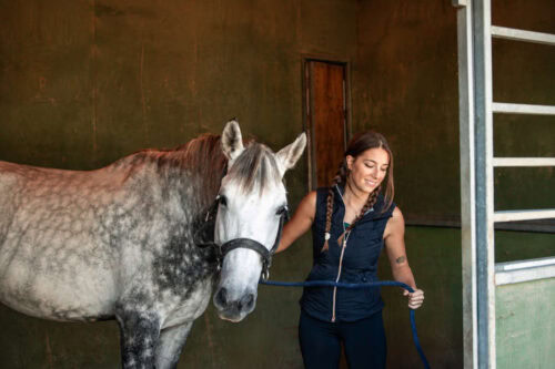 doxycycline-for-horses