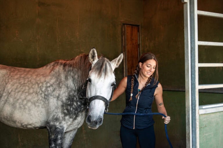 doxycycline-for-horses