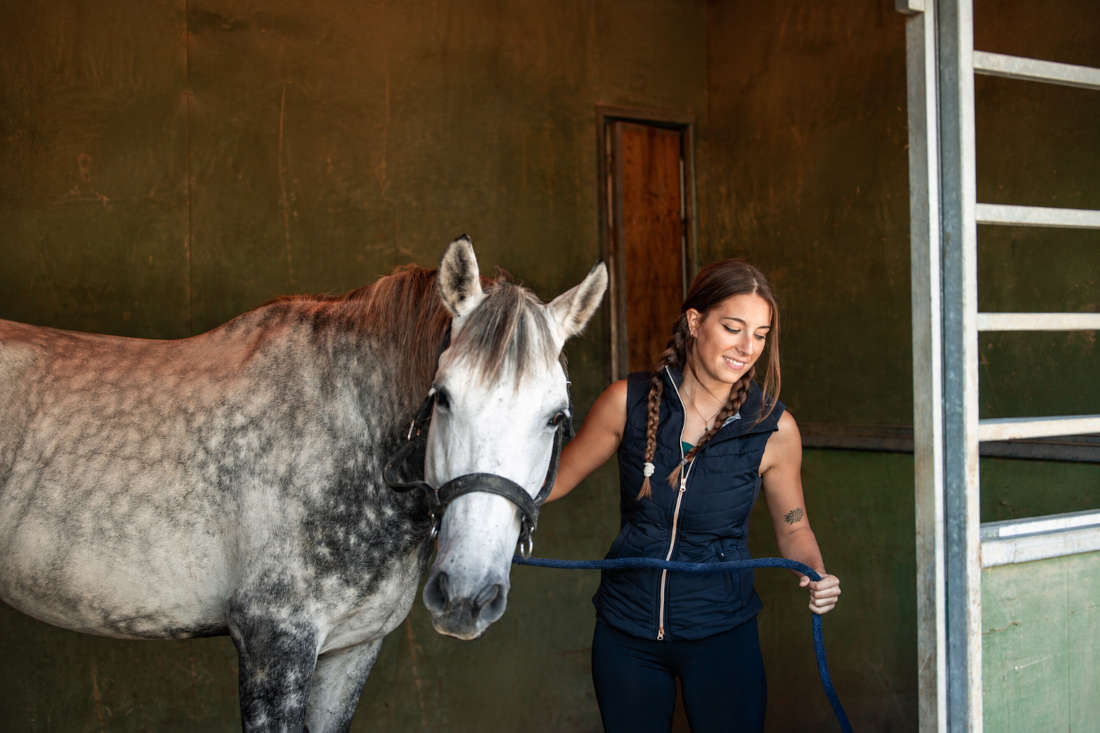 Doxycycline for Horses: Uses, Side Effects & Status in Competition