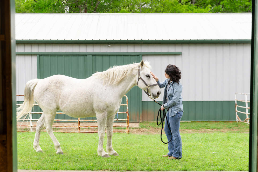 Enrofloxacin for Horses: Uses, Side Effects & Status in Competition