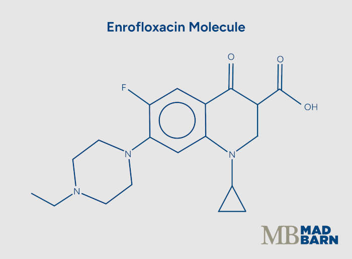 illustration of enrofloxacin molecule