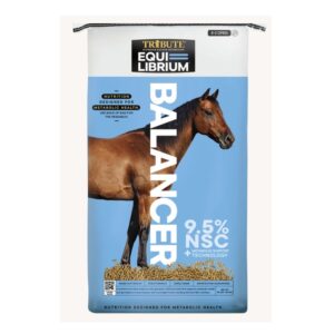 Equi-Librium Balancer (Tribute)