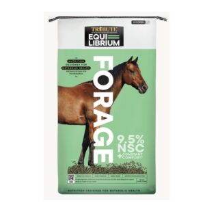 Equi-Librium Forage (Tribute)