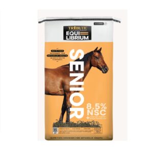 Equi-Librium Senior (Tribute)