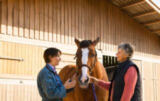 equine-health-certificates