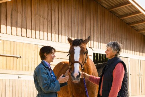 equine-health-certificates