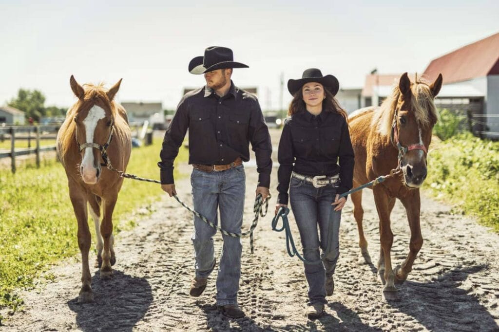 Guaifenesin for Horses: Uses, Side Effects & Status in Competition