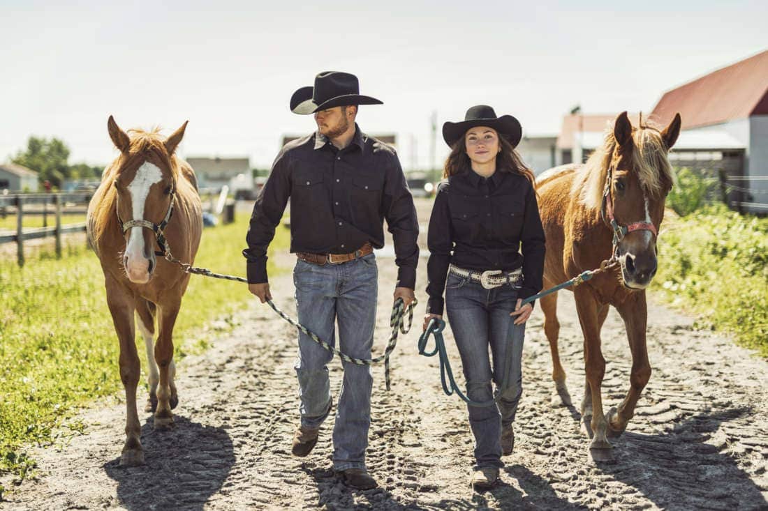 Guaifenesin for Horses: Uses, Side Effects & Status in Competition