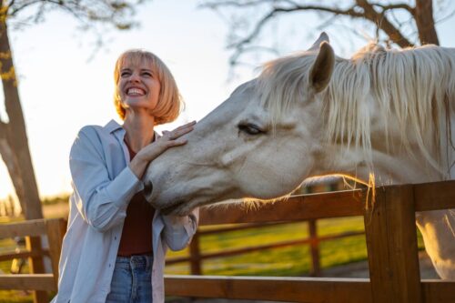 guide to horse vocalizations