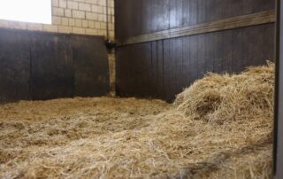 Horse stall bedding