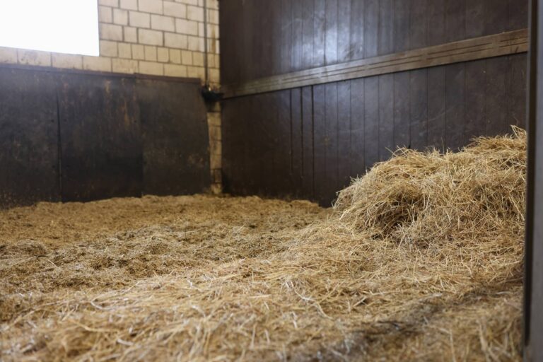 Horse stall bedding