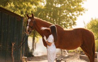 how-to-give-a-horse-injection
