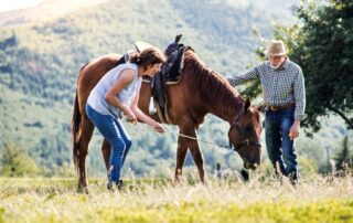 how-to-pick-a-horse-or-farm-sitter