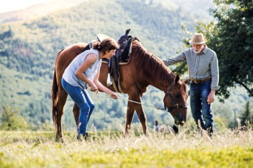 how-to-pick-a-horse-or-farm-sitter