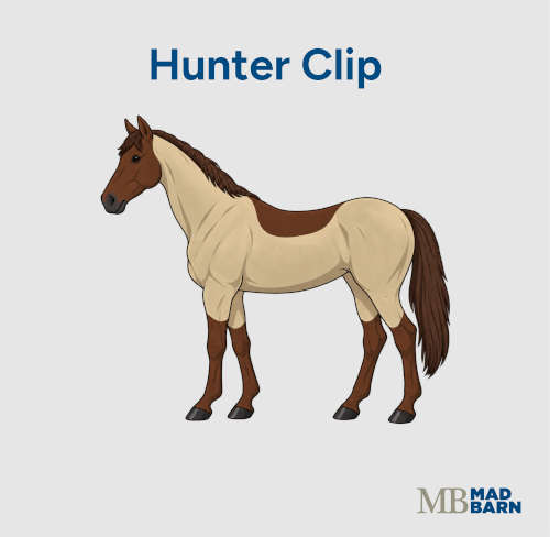 hunter clip on a horse
