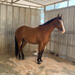 | Mad Barn USA