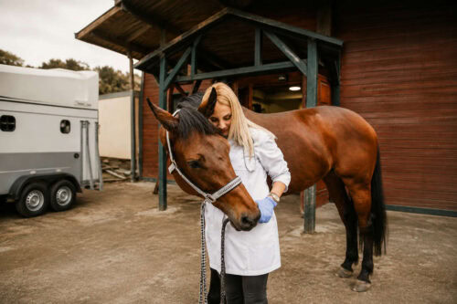 insulin-and-glucose-testing-for-horses