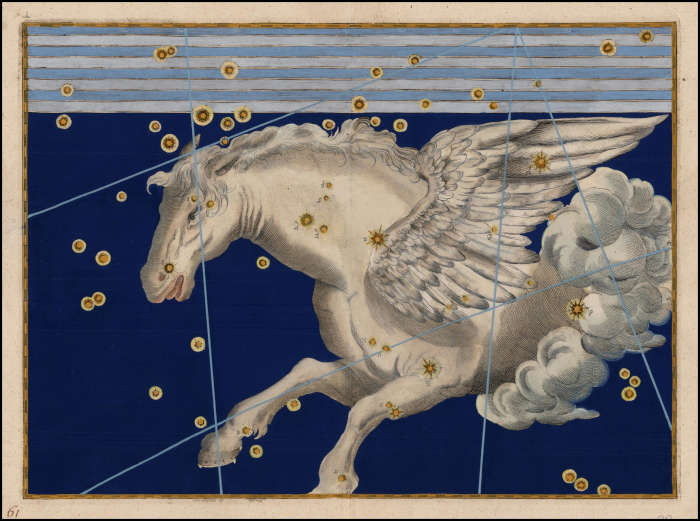 painting of pegasus in the night sky