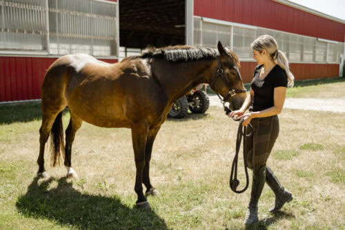 Midazolam for Horses: Uses, Side Effects & Status in Competition
