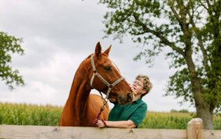 muscle-strain-and-soreness-in-horses