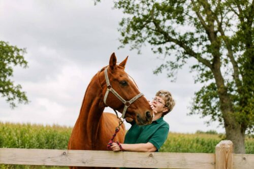 Muscle Soreness in Horses: Causes, Recovery & Prevention