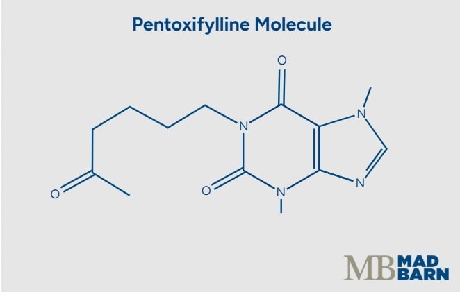 illustration of a pentoxifylline molecule