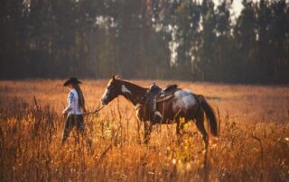 pentoxifylline for horses